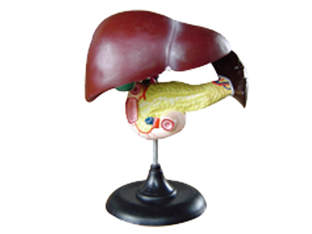 SD-093 33216ʮ֬cKģ